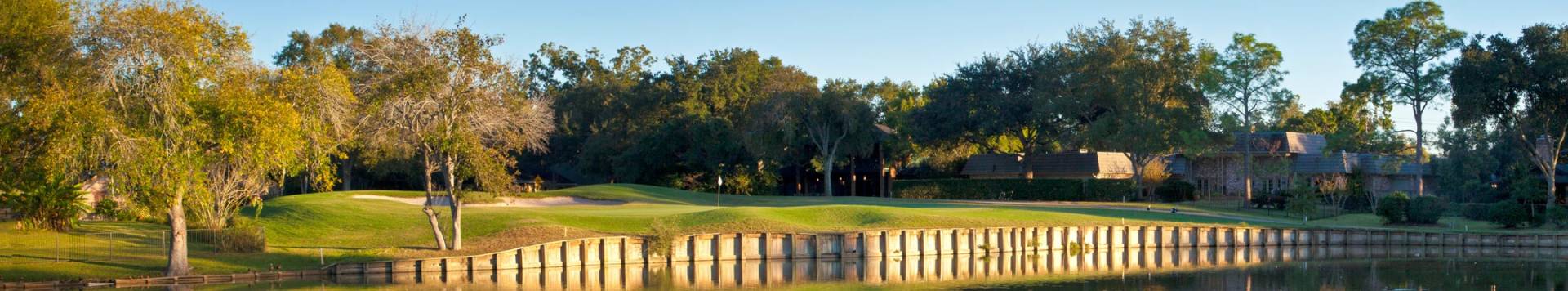 semaglutide hunters creek village tx Houston Hormone Therapy and Cosmetic Center