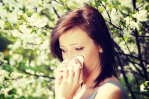 Common Allergies in Houston