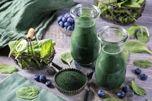 Dr. Shel’s Superfood Smoothie